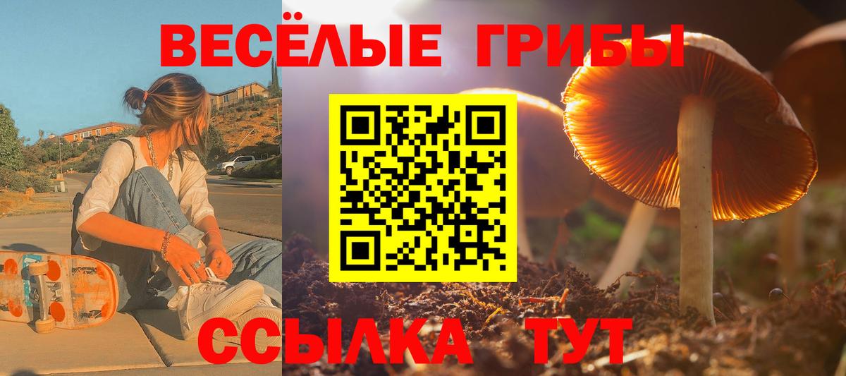 Галлюциногенные грибы мицелий Курчалой