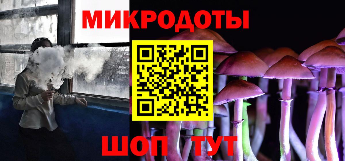 что такое наркотик  Вход с VPN  Галлюциногенные грибы MAGIC MUSHROOMS  Курчалой  Псилоцибиновые грибы мухоморы 