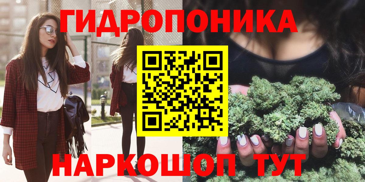 МАРИХУАНА конопля  Вход с VPN  Курчалой  Шишки марихуана LSD WEED  Каннабис семена 